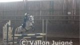 Cours d'équitation