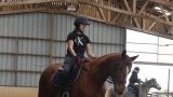 Cours d'équitation