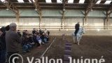 Cours d'équitation